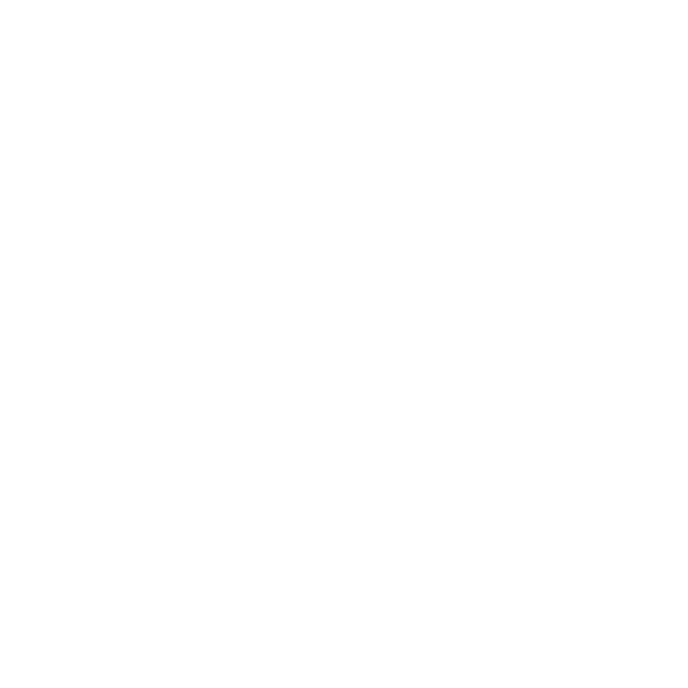 Toro Rosso